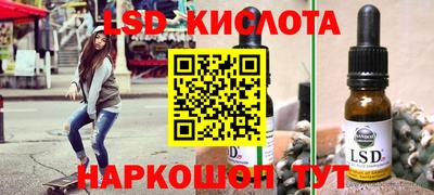 гашик Будённовск