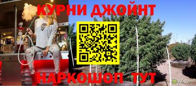 гашик Будённовск