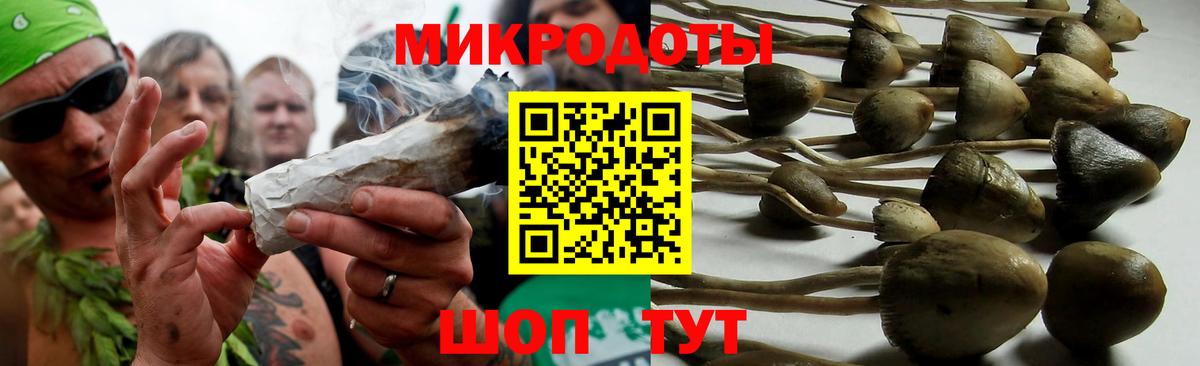 Псилоцибиновые грибы Psilocybe  Вход с VPN  Уварово  Галлюциногенные грибы прущие грибы 
